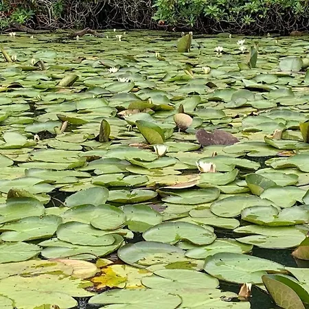 The Barn- Appartement *