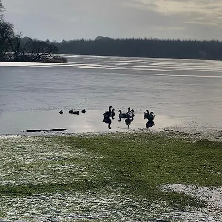 The Barn- Appartement Mullagh (Cavan)