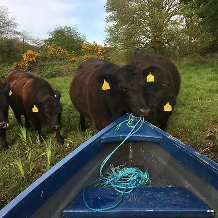 The Barn- Mullagh (Cavan)