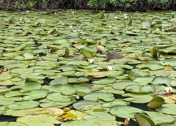 The Barn- Appartement *