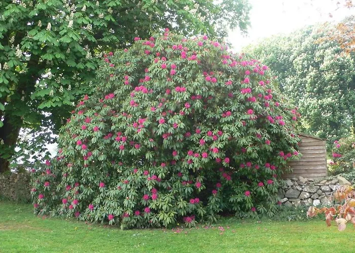 The Barn- Mullagh (Cavan)