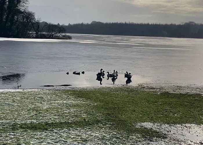 The Barn- Appartement Mullagh (Cavan)