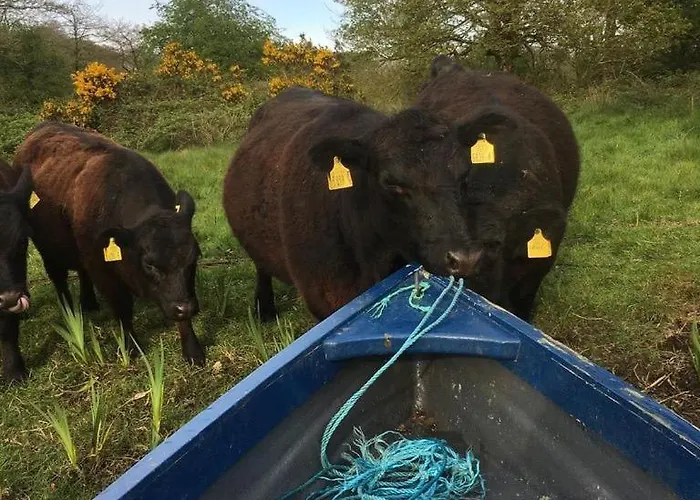 The Barn- Mullagh (Cavan)